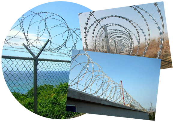 米兰体育app登录